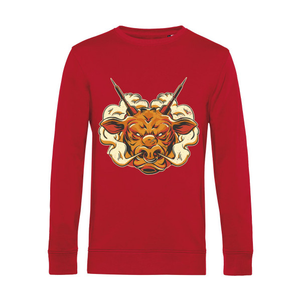 Nachhaltiges Sweatshirt Herren Darts Angry Bull