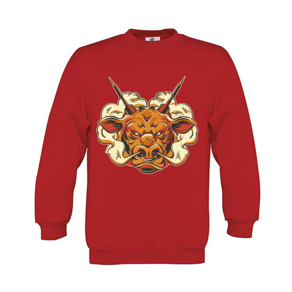 Sweatshirt Kinder Darts Angry Bull